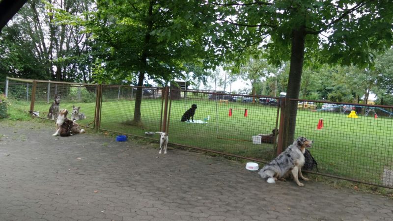 Sommerfest 2015