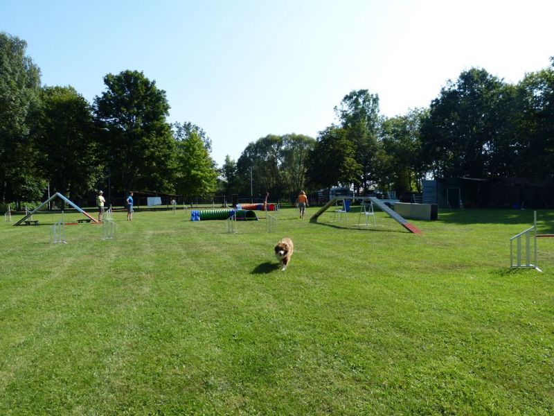 Sommerfest 2019