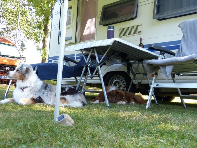 Sommerfest 2019