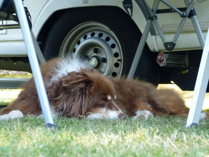 Sommerfest 2019