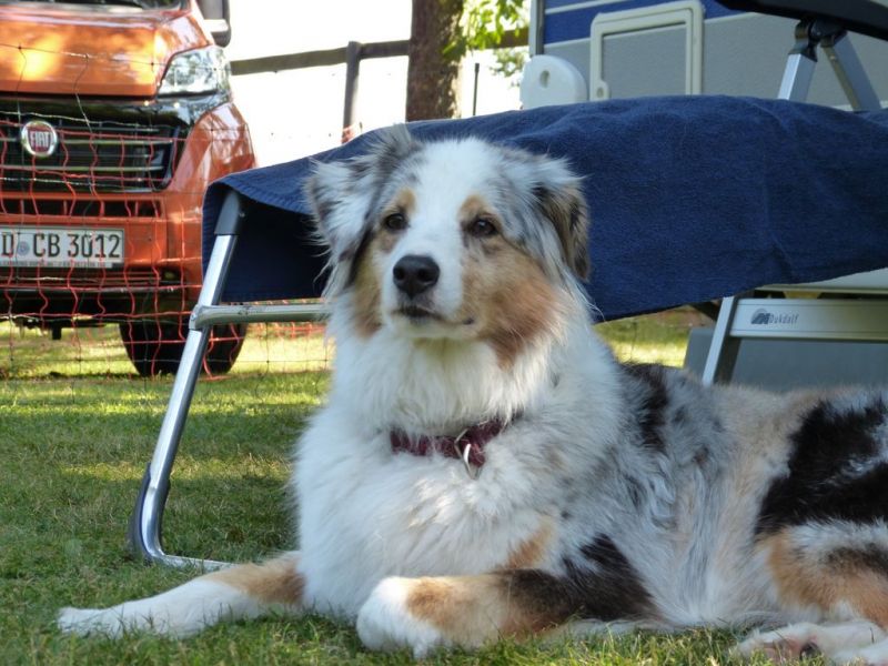 Sommerfest 2019