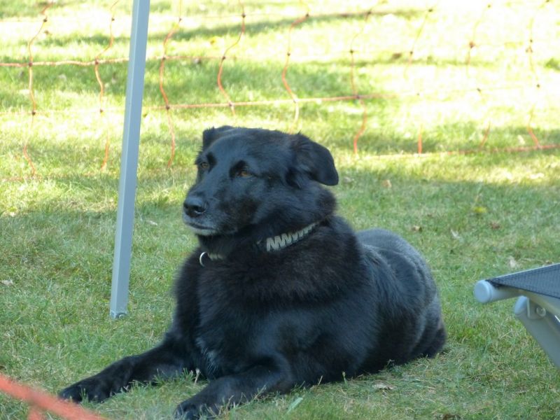 Sommerfest 2019