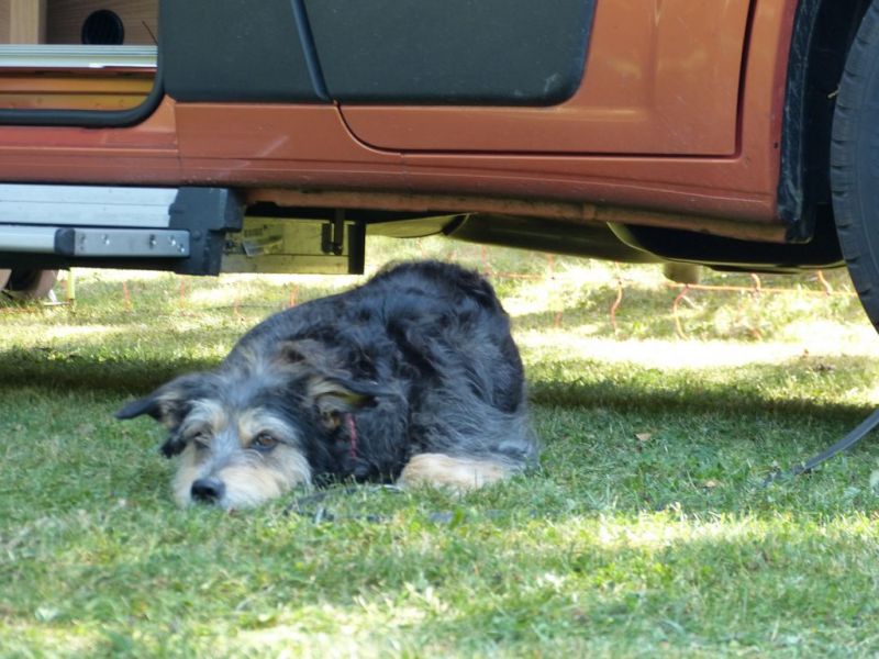 Sommerfest 2019