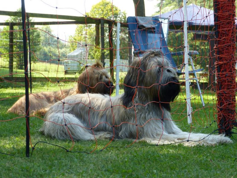Sommerfest 2019