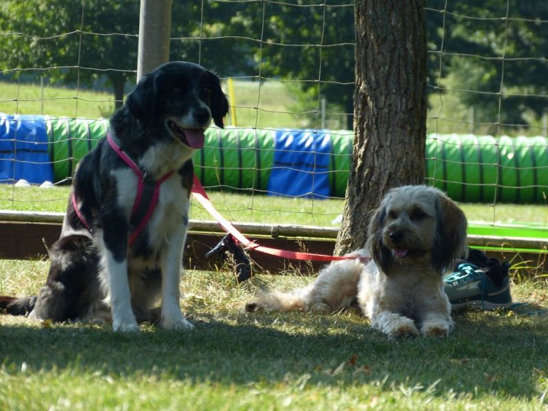 Sommerfest 2019