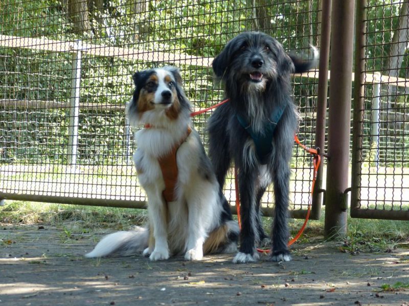 Sommerfest 2019