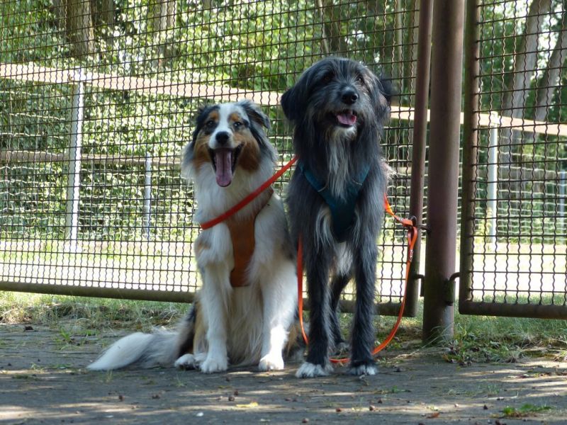 Sommerfest 2019