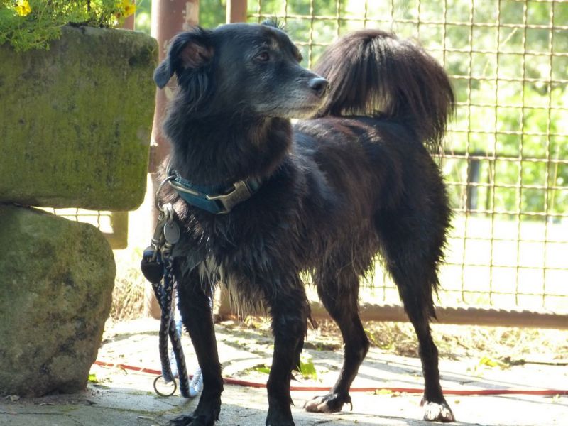 Sommerfest 2019