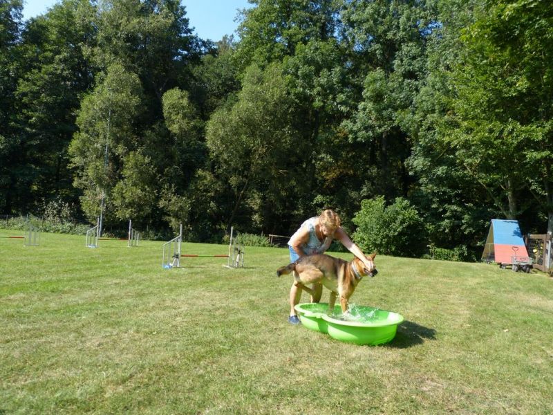 Sommerfest 2019
