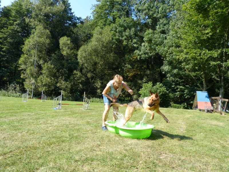 Sommerfest 2019