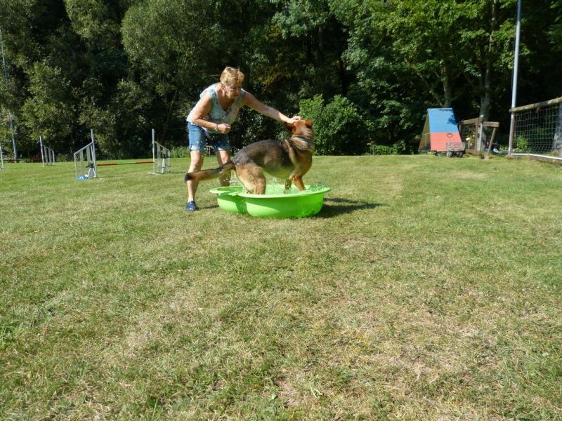 Sommerfest 2019