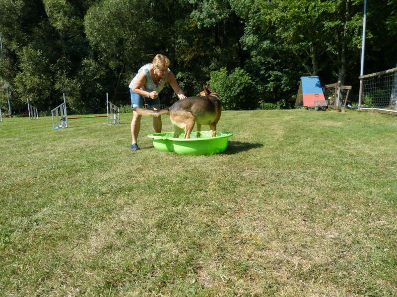 Sommerfest 2019