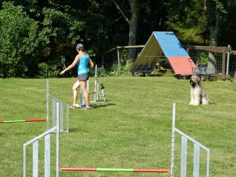 Sommerfest 2019