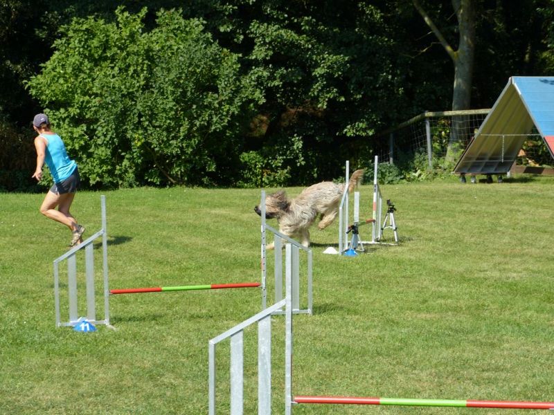 Sommerfest 2019