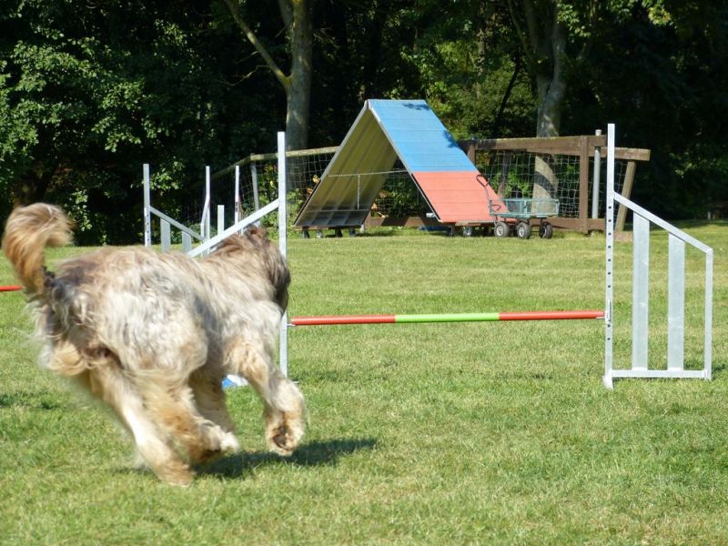 Sommerfest 2019