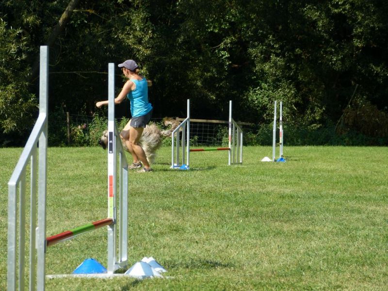 Sommerfest 2019