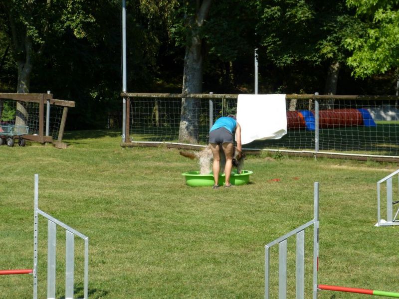 Sommerfest 2019
