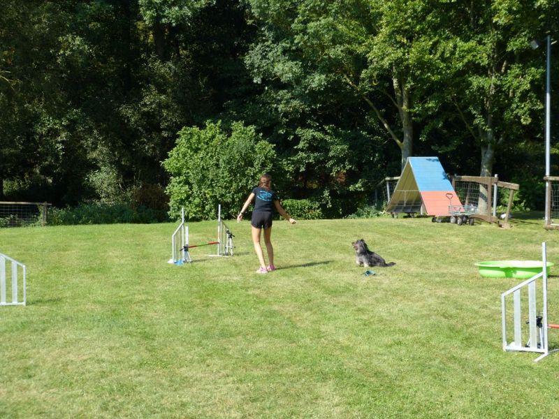 Sommerfest 2019
