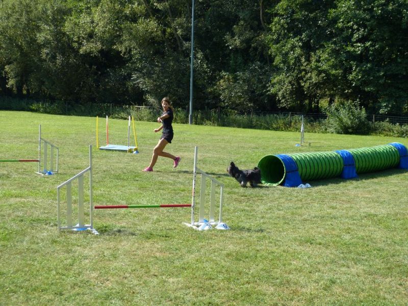 Sommerfest 2019