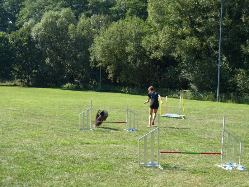 Sommerfest 2019