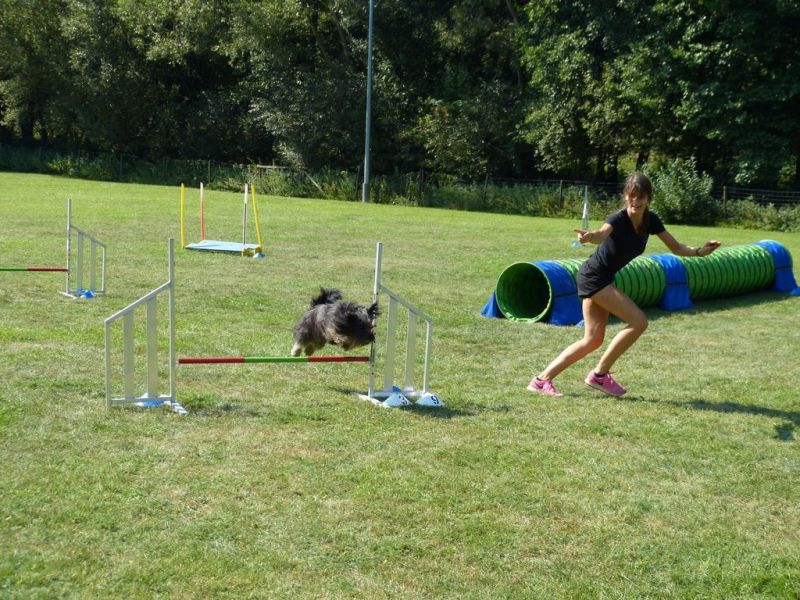 Sommerfest 2019