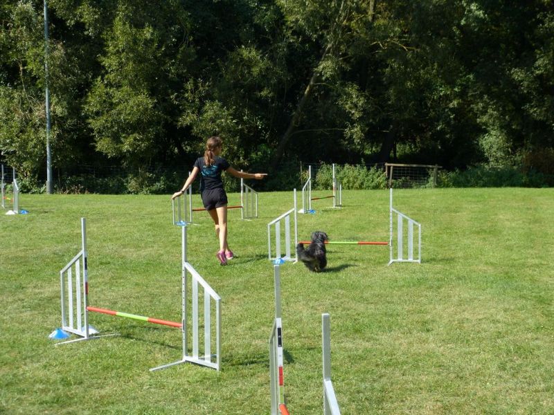 Sommerfest 2019