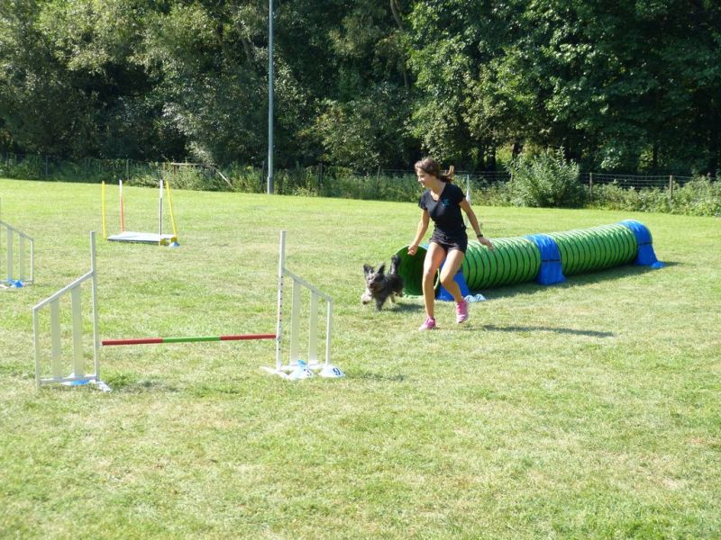 Sommerfest 2019