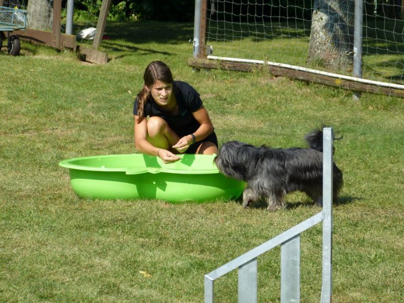 Sommerfest 2019