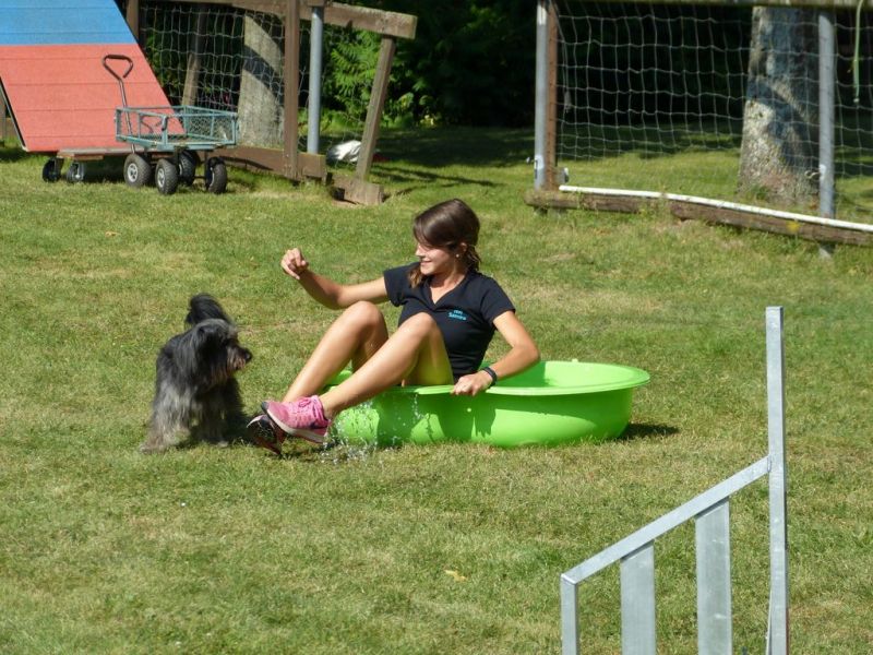 Sommerfest 2019