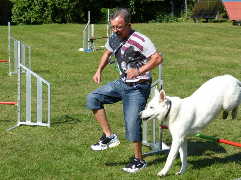 Sommerfest 2019