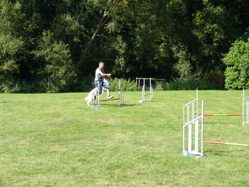 Sommerfest 2019