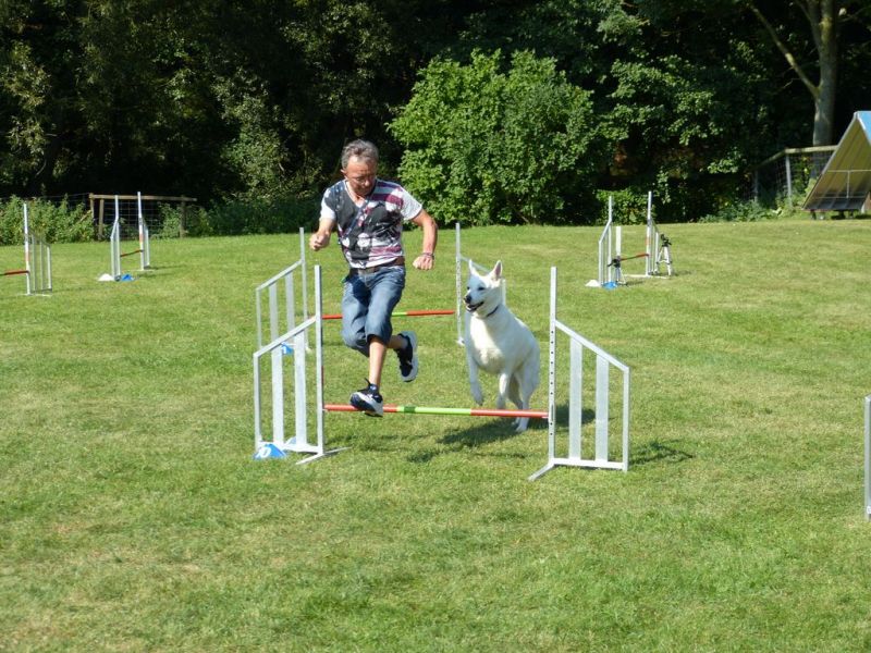 Sommerfest 2019
