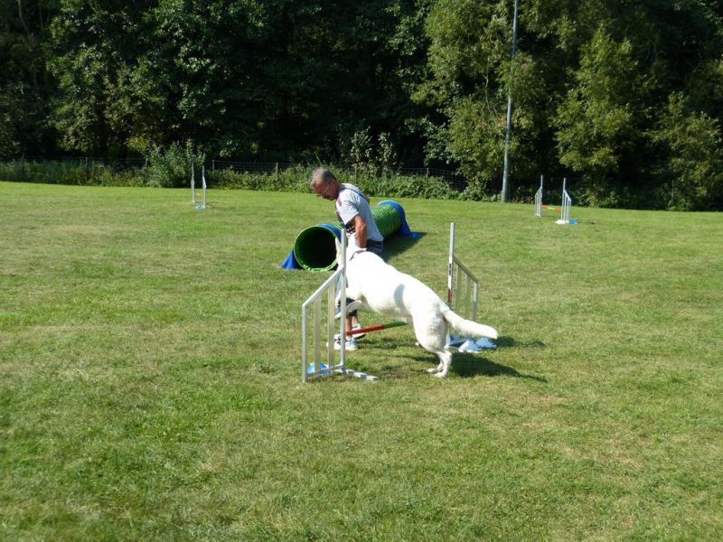 Sommerfest 2019