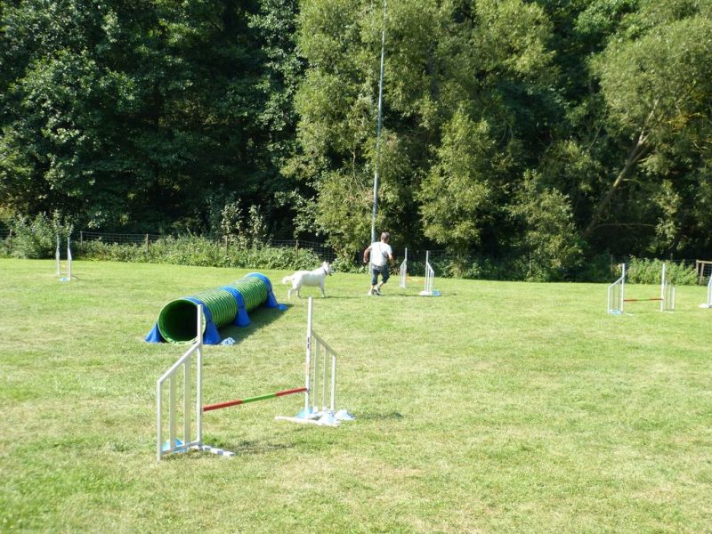 Sommerfest 2019