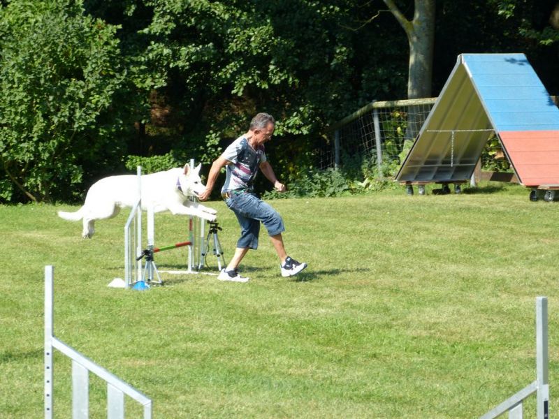 Sommerfest 2019