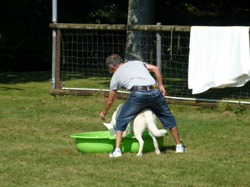 Sommerfest 2019