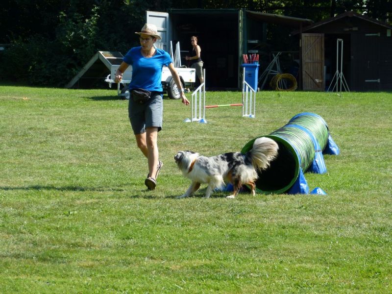 Sommerfest 2019