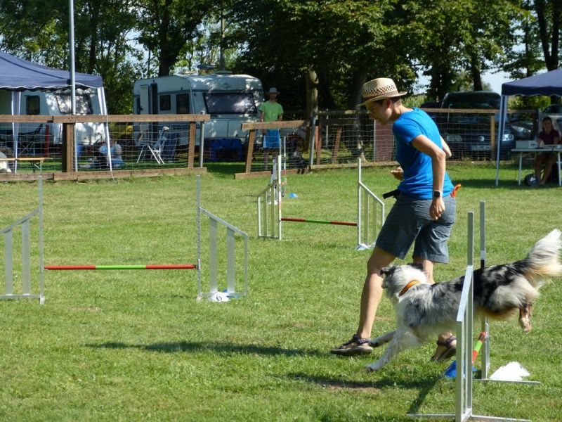 Sommerfest 2019