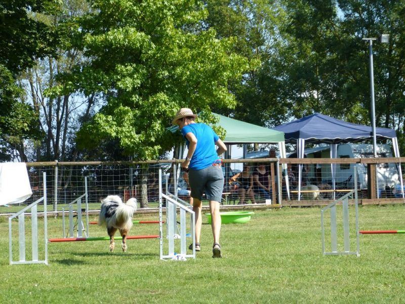 Sommerfest 2019