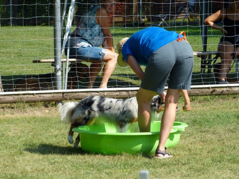 Sommerfest 2019