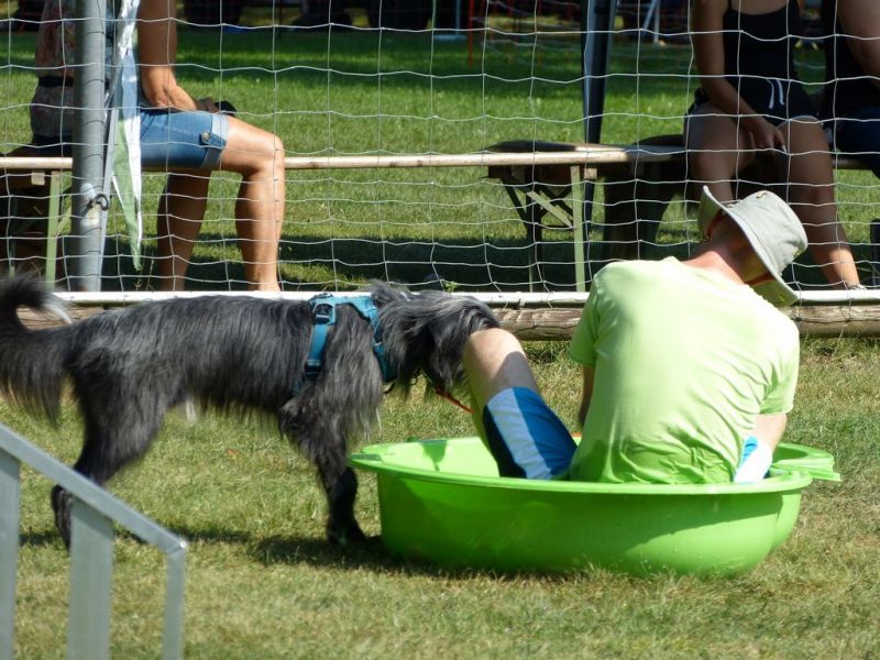 Sommerfest 2019
