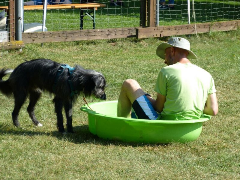 Sommerfest 2019