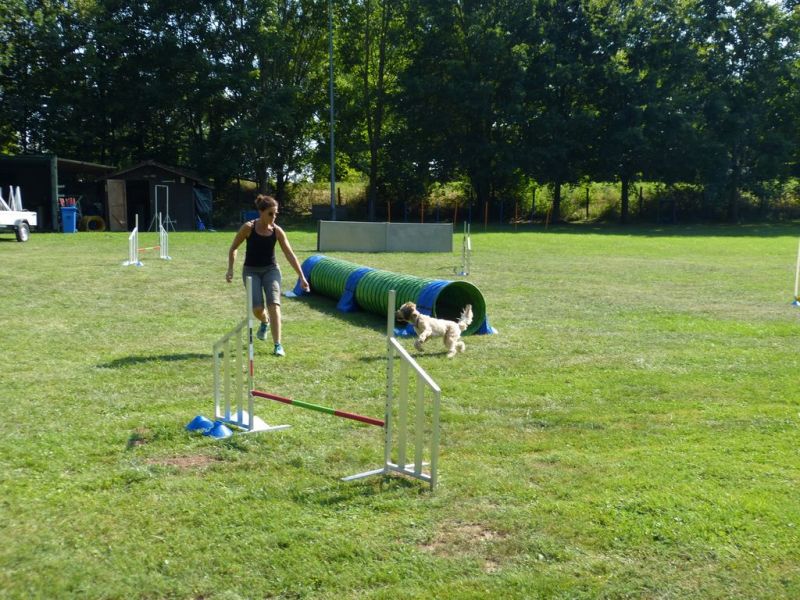 Sommerfest 2019