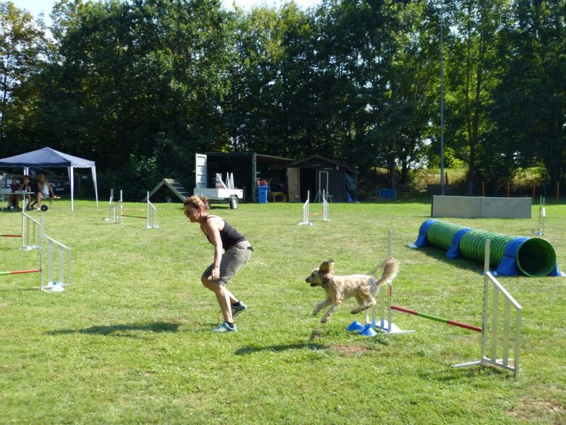 Sommerfest 2019