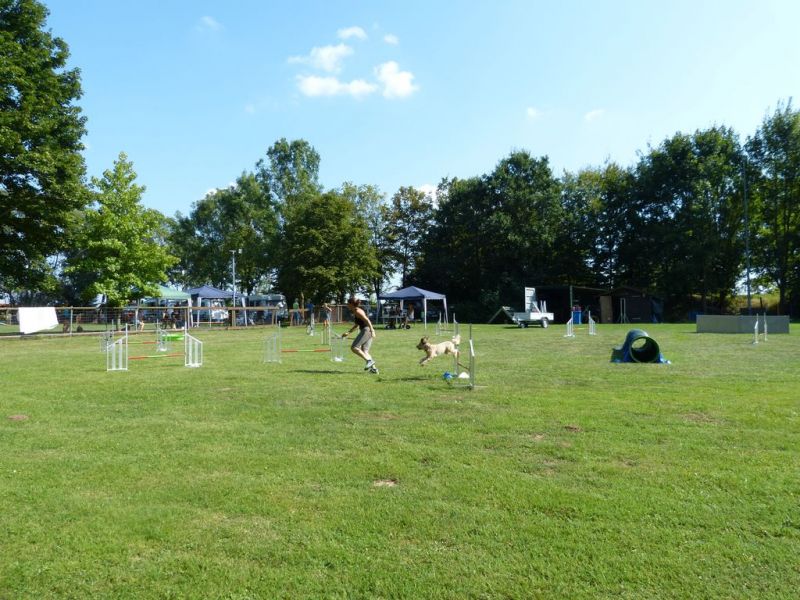 Sommerfest 2019