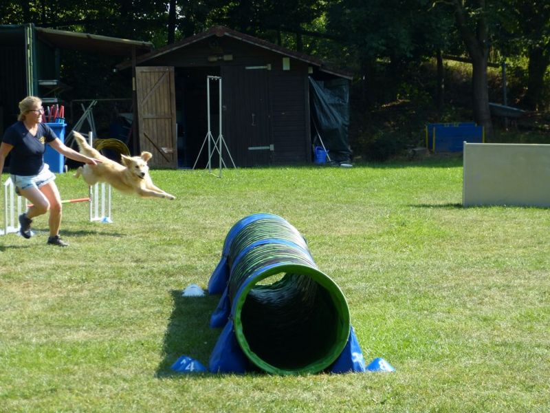 Sommerfest 2019