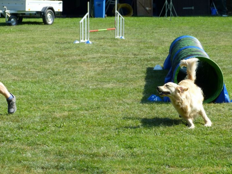 Sommerfest 2019