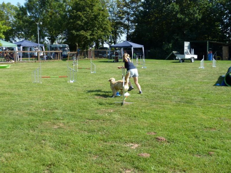 Sommerfest 2019