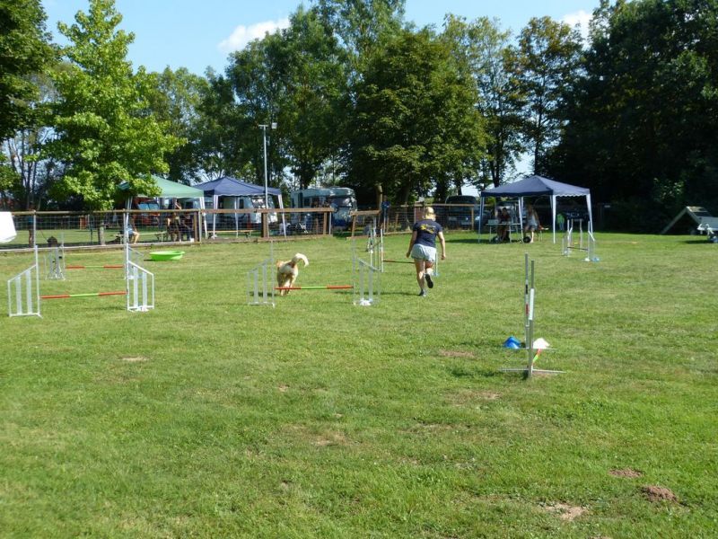 Sommerfest 2019