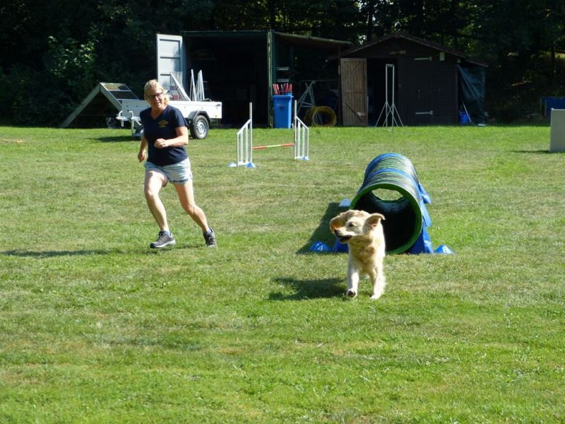 Sommerfest 2019